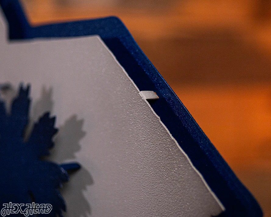 South Carolina State Emblem 3D Vintage Metal Wall Art - Image 7