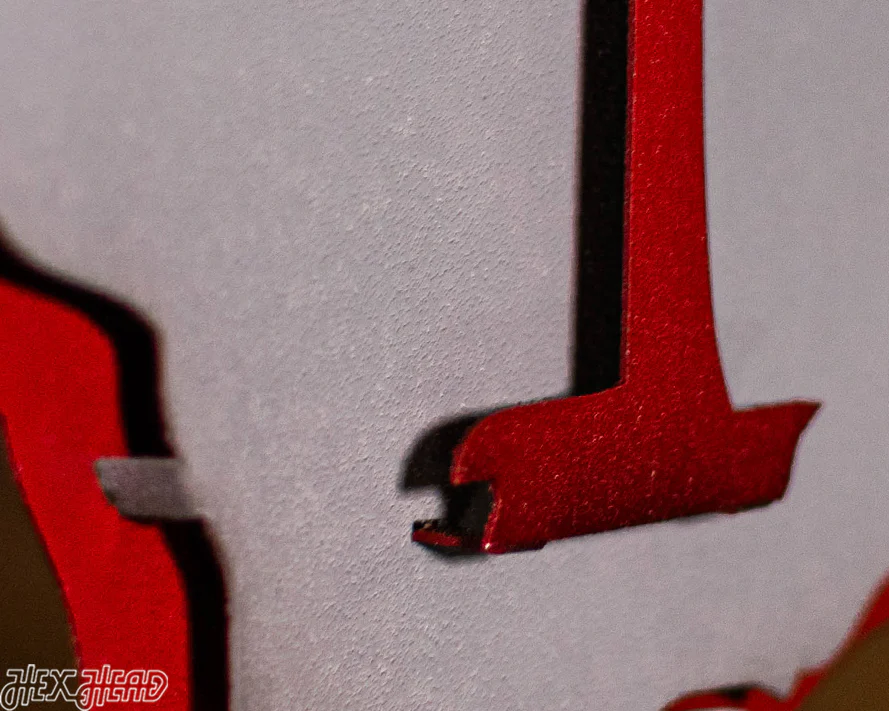 South Carolina State Emblem 3D Vintage Metal Wall Art - Image 10