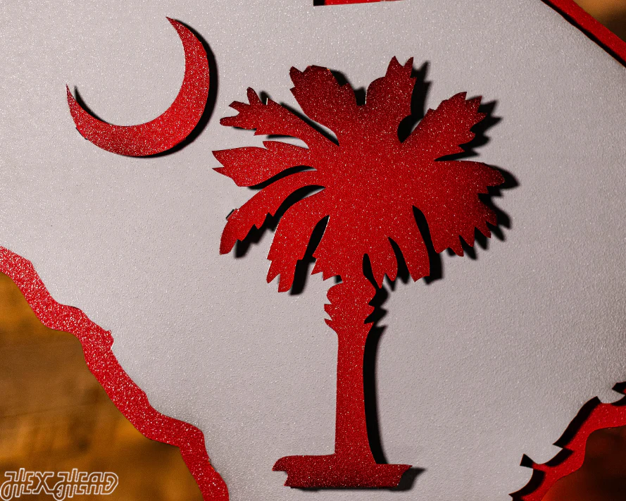 South Carolina State Emblem 3D Vintage Metal Wall Art - Image 11