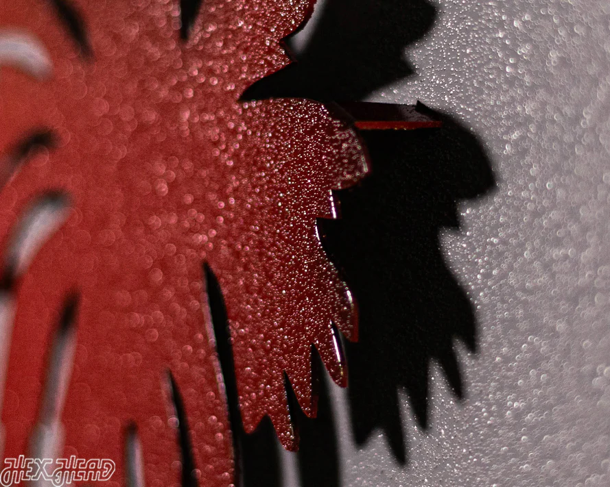 South Carolina State Emblem 3D Vintage Metal Wall Art - Image 14