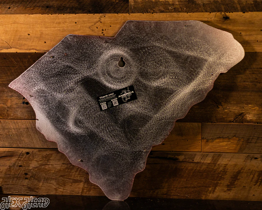 South Carolina State Emblem 3D Vintage Metal Wall Art - Image 16