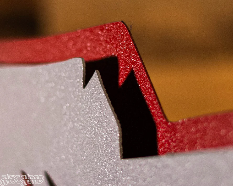 South Carolina State Emblem 3D Vintage Metal Wall Art - Image 6