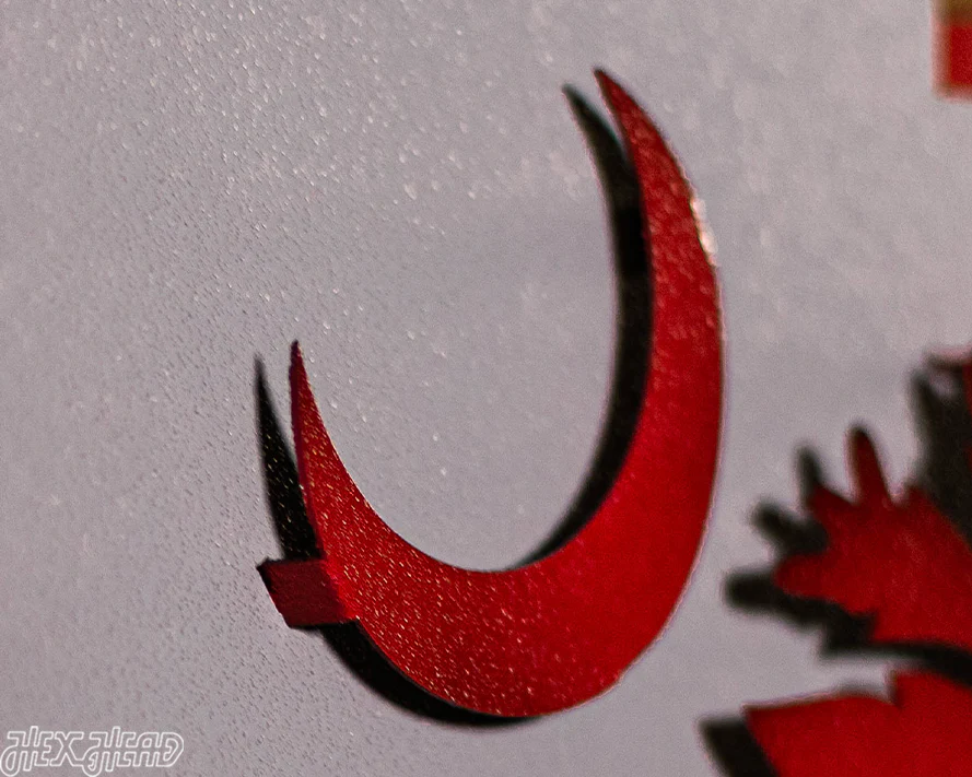 South Carolina State Emblem 3D Vintage Metal Wall Art - Image 8