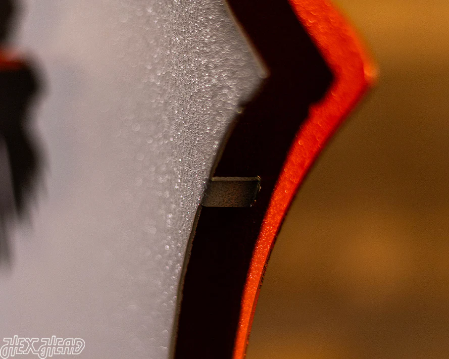 South Carolina State Emblem 3D Vintage Metal Wall Art - Image 13