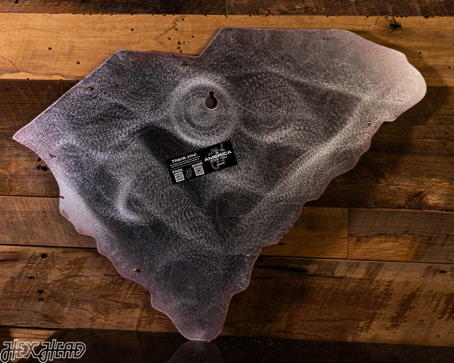 South Carolina State Emblem 3D Vintage Metal Wall Art - Image 15