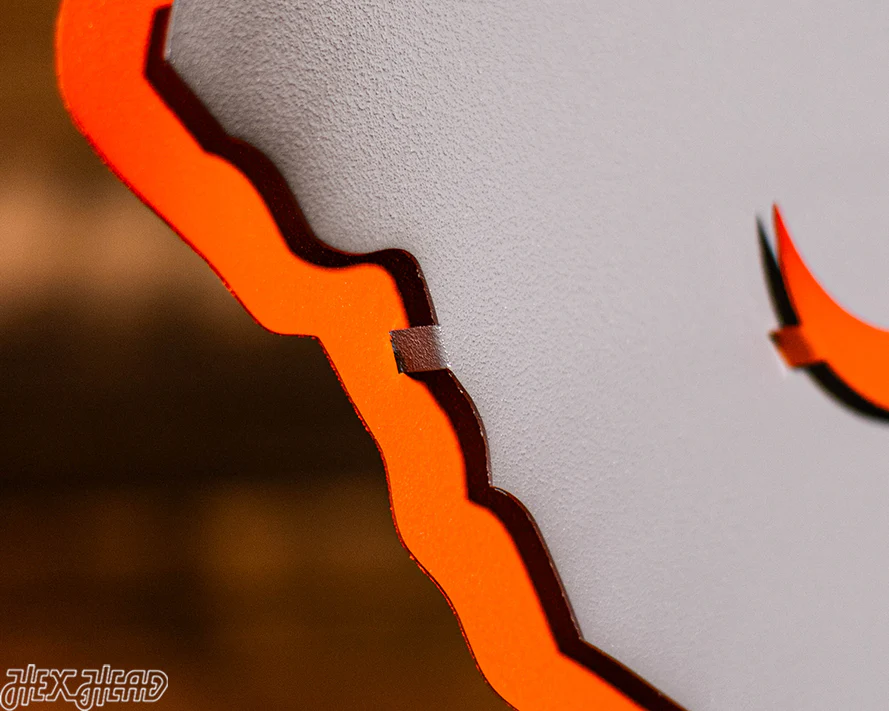 South Carolina State Emblem 3D Vintage Metal Wall Art - Image 6