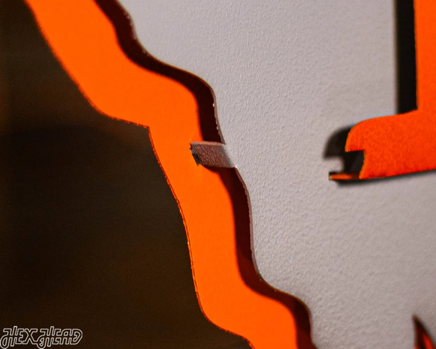 South Carolina State Emblem 3D Vintage Metal Wall Art - Image 8