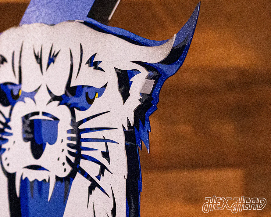 Kentucky Wildcats OUT of the VAULT, Vintage 70's Power K 3D Metal Wall Art - Image 7