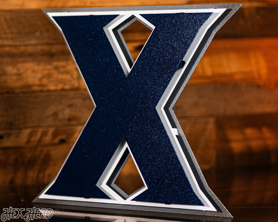 Xavier "X" 3D Vintage Metal Artwork - Image 4